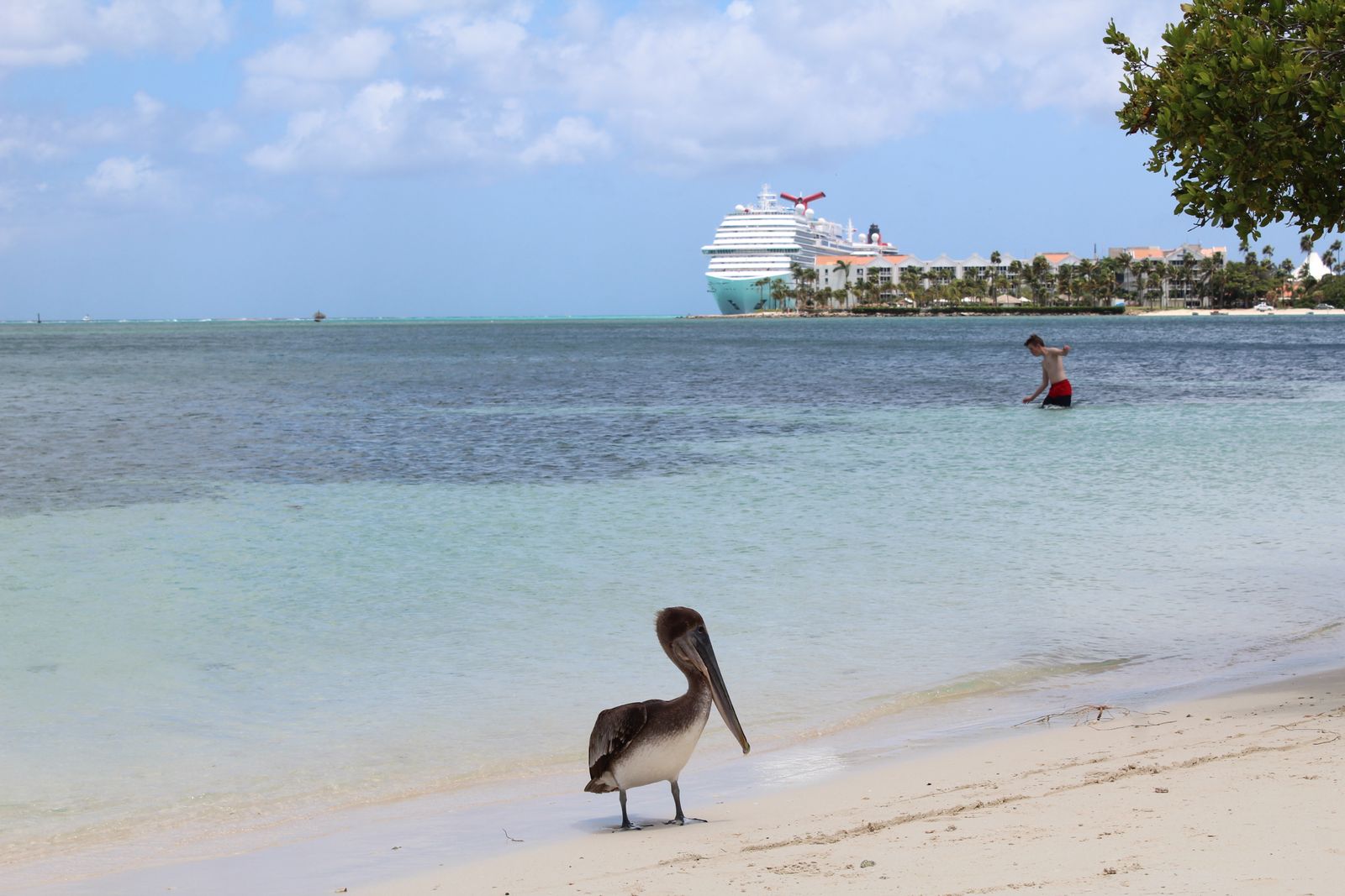 Aruba