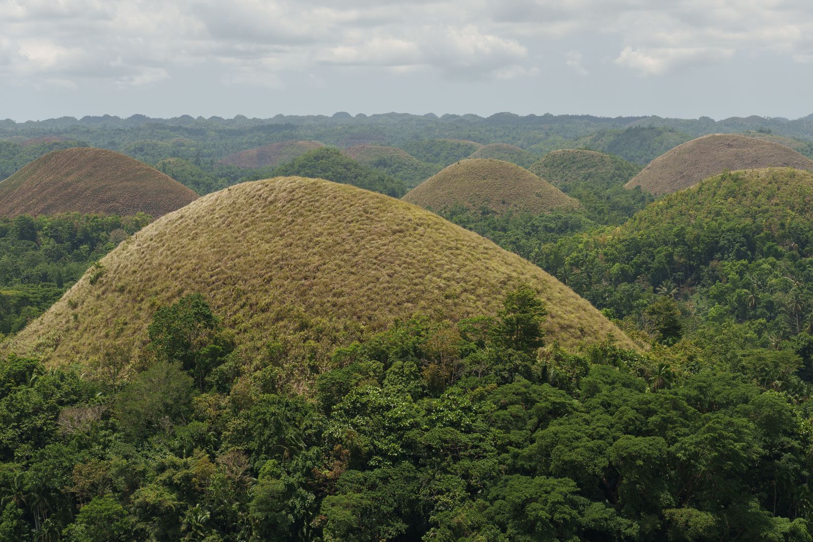 Bohol