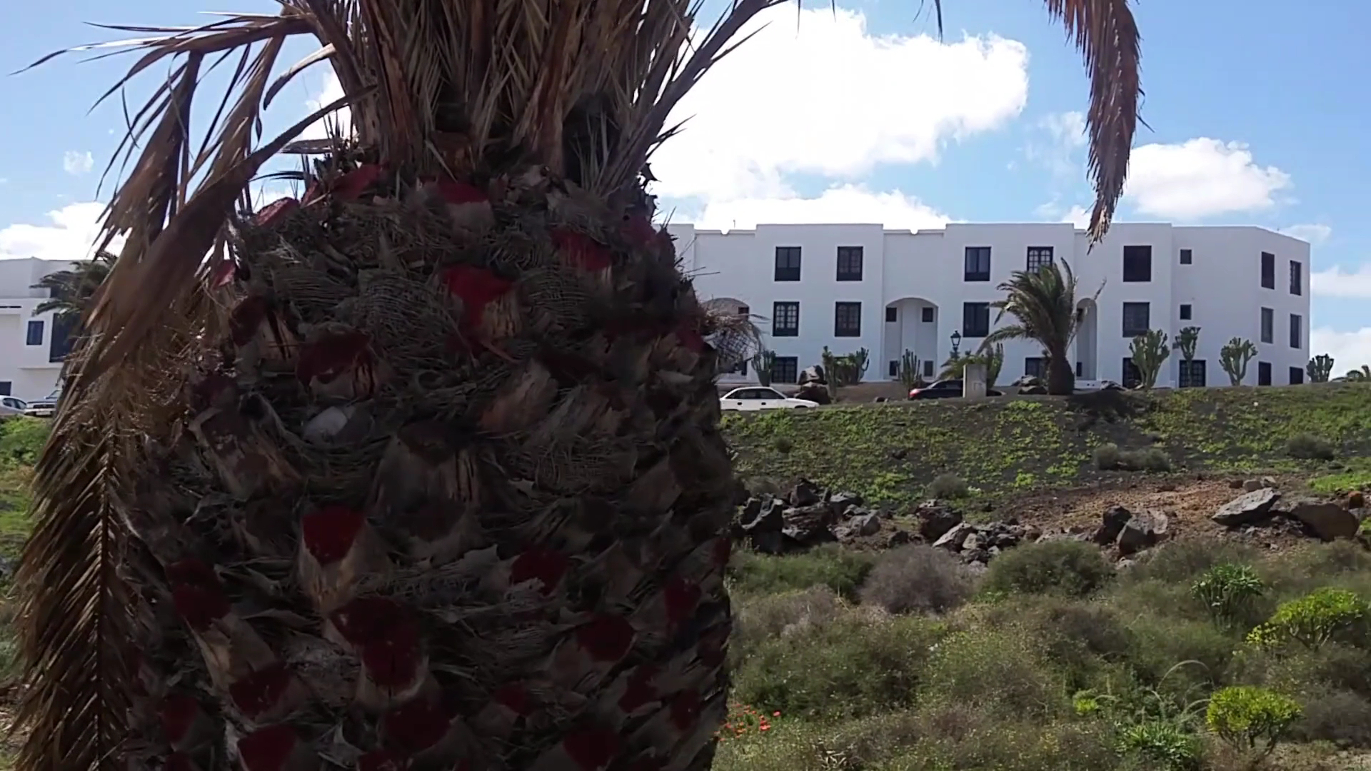 Rodano Central Costa Teguise