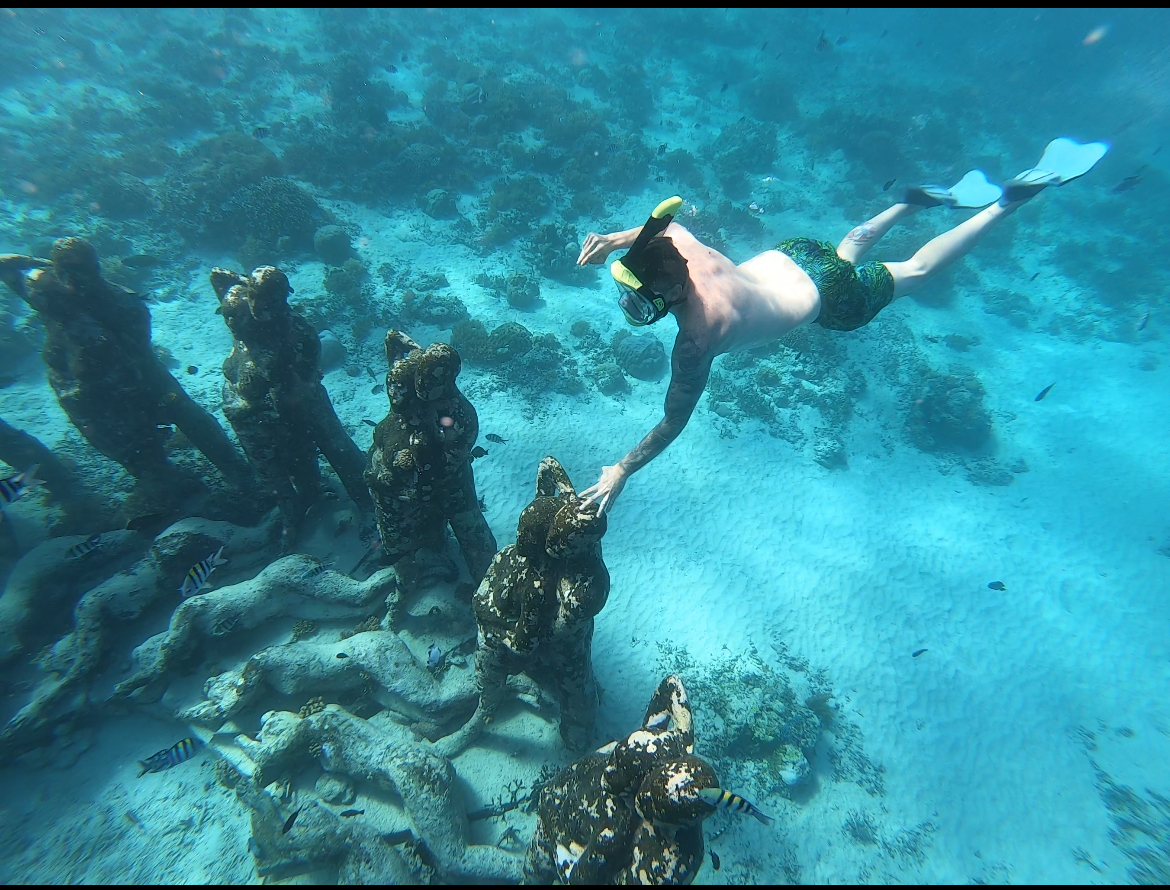 Daffa boat (Glass bottom boat) snorkling trip