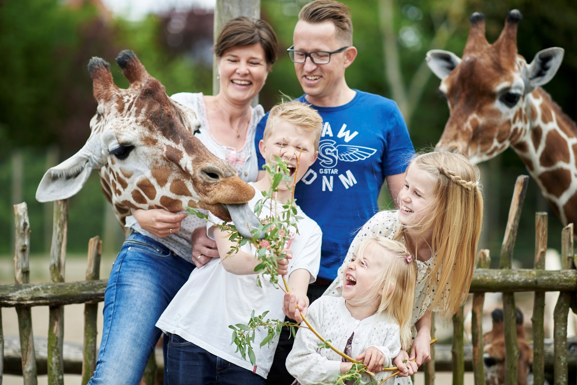 Zoo Scenen