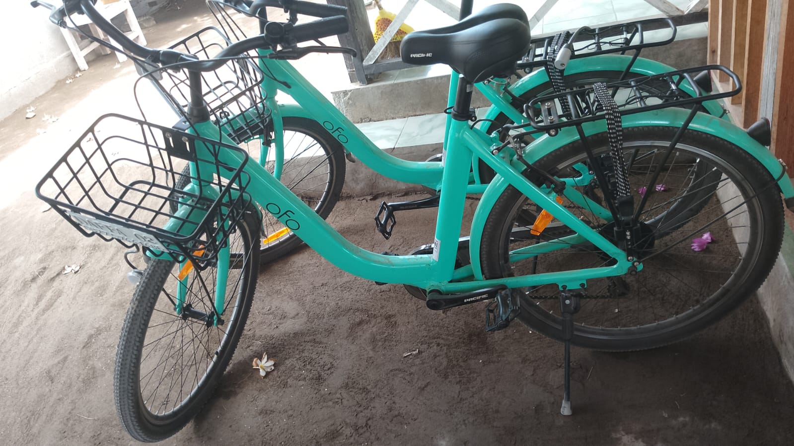 Daffa Rent Bike and Rent Camera