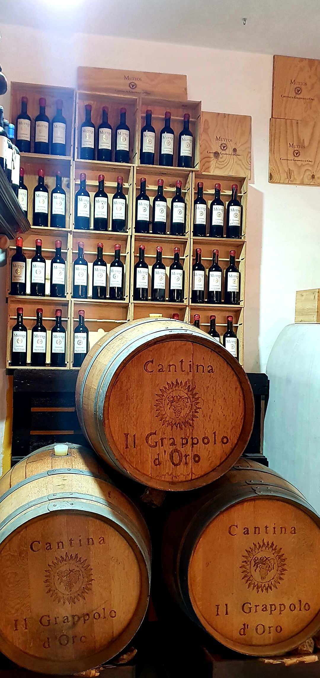 Enoteca Cantina Grappolo d'oro