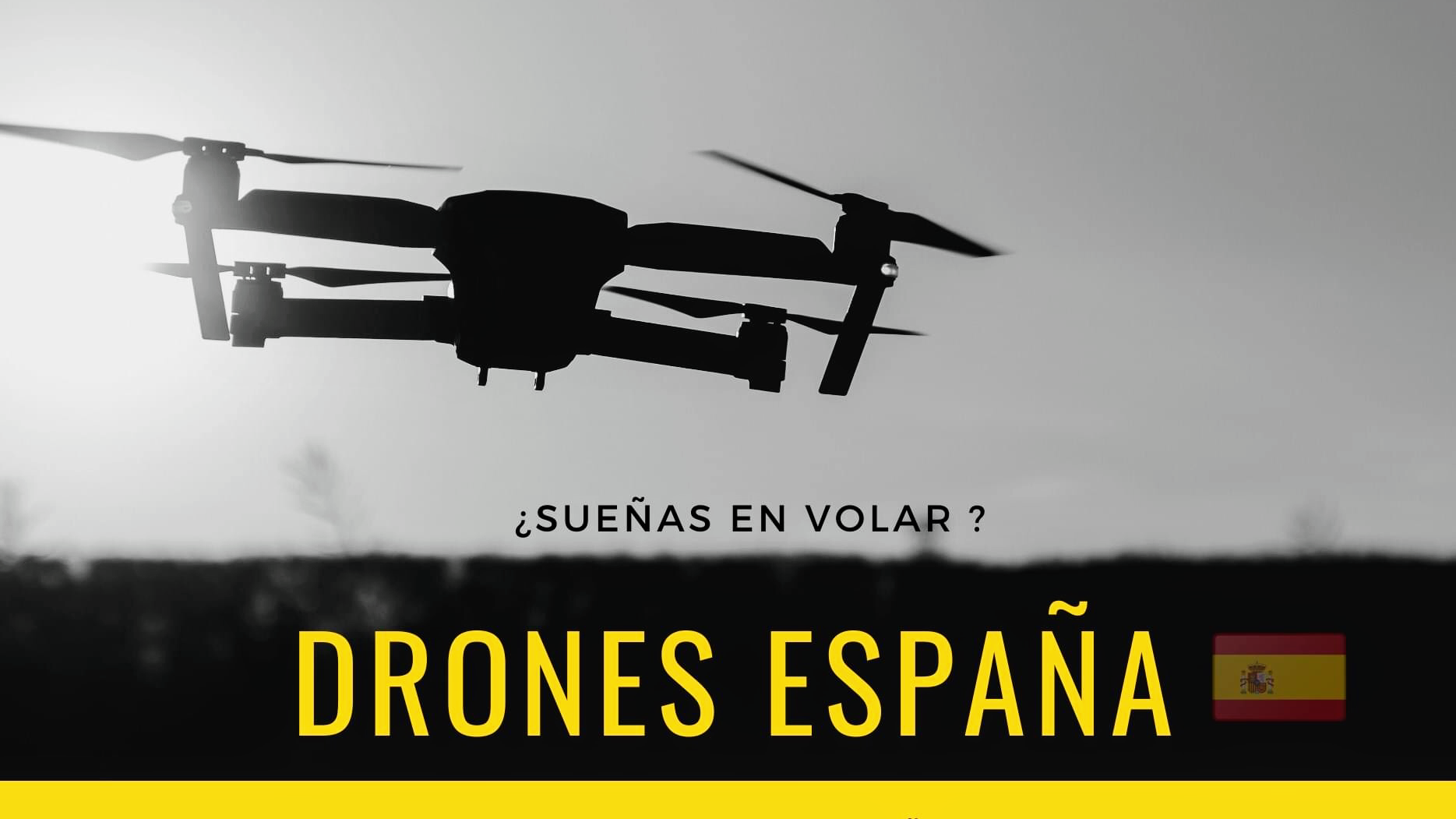 Dron Canarias