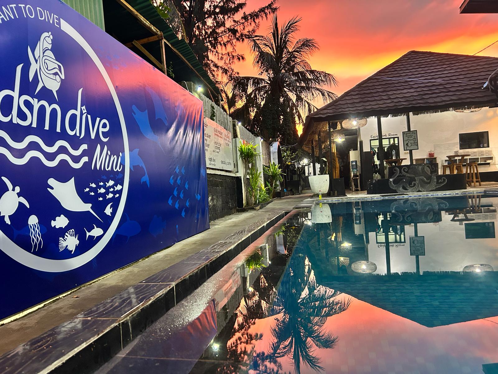 DSM Dive Mini