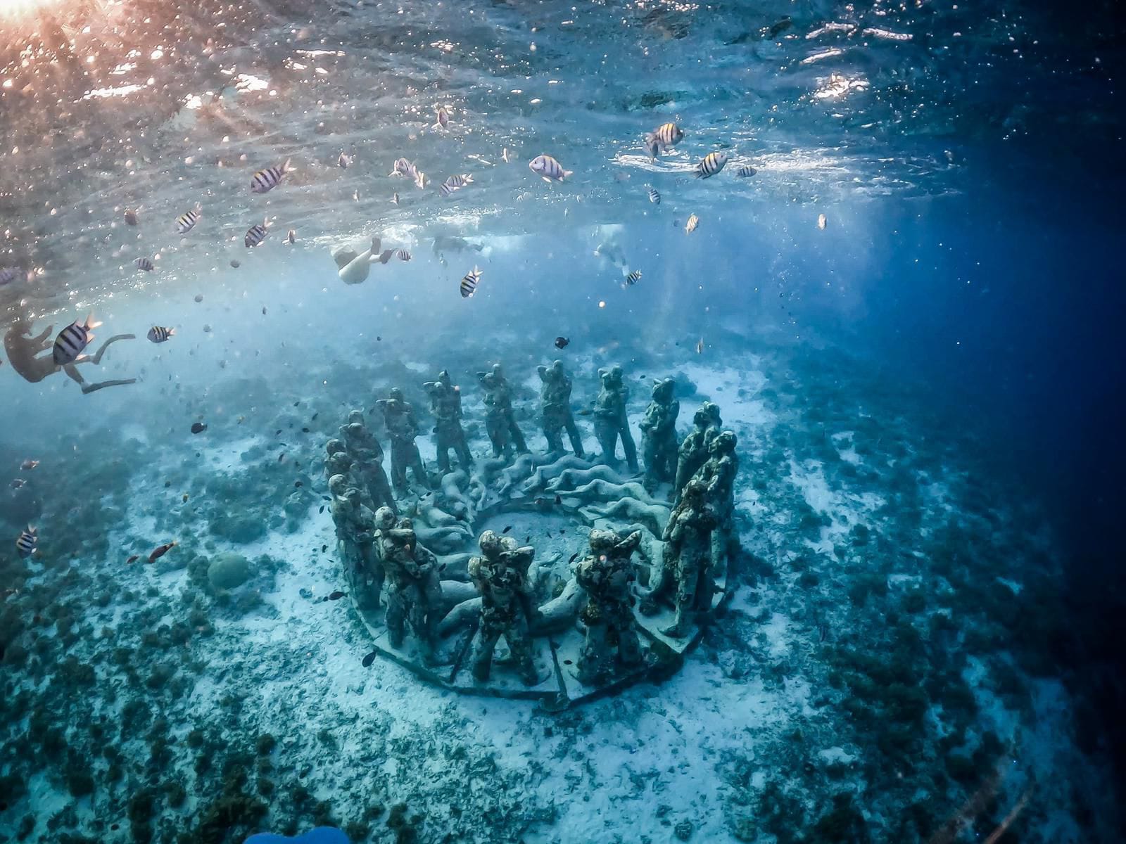 Sea Star tour and travel