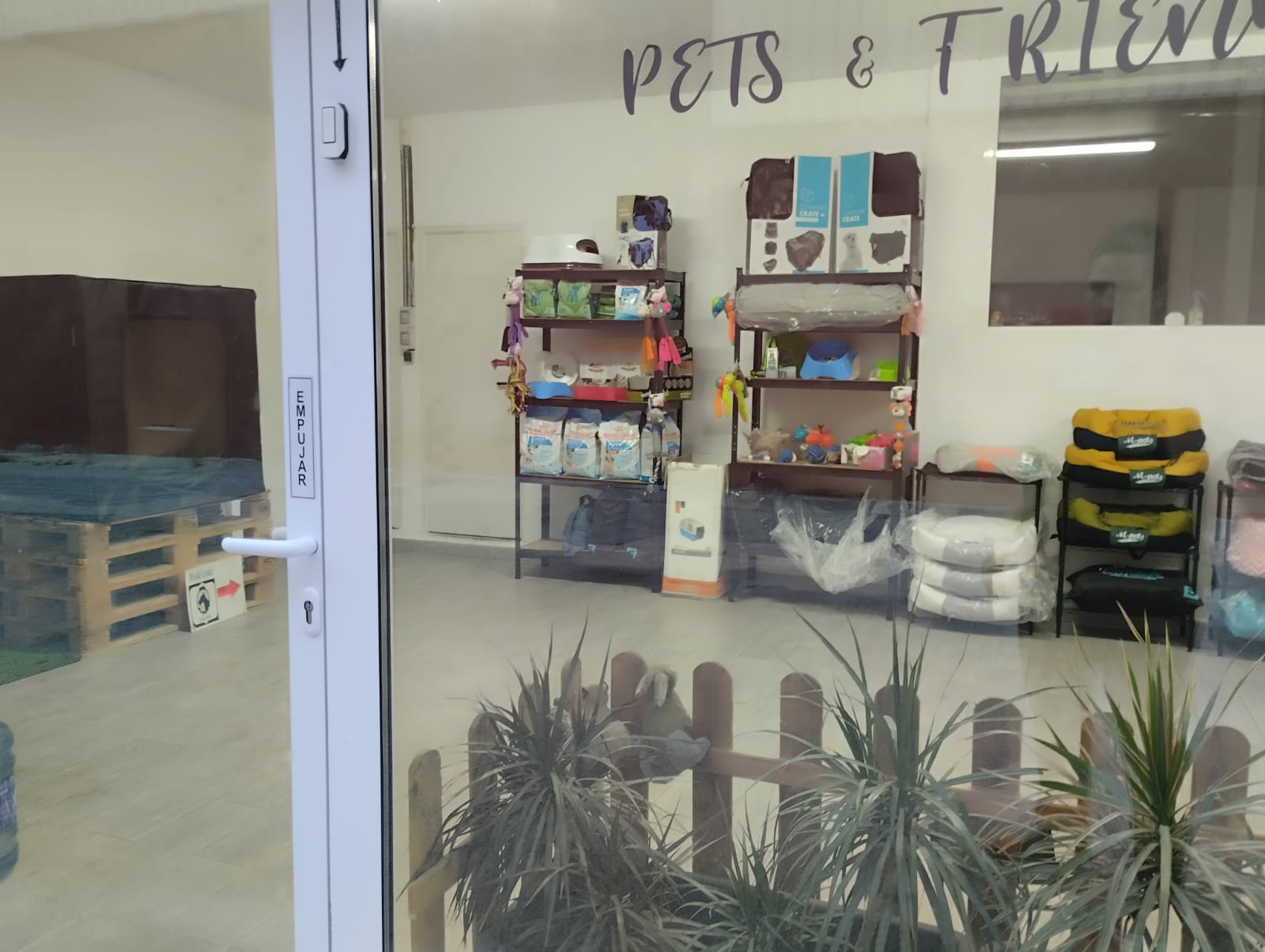 Pets & Friends