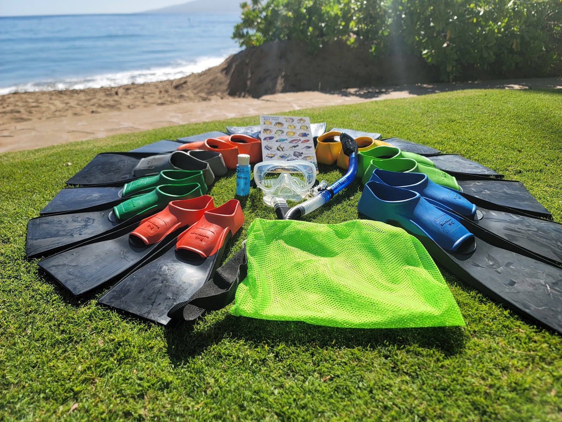 Auntie Snorkel Beach Rentals Lahaina