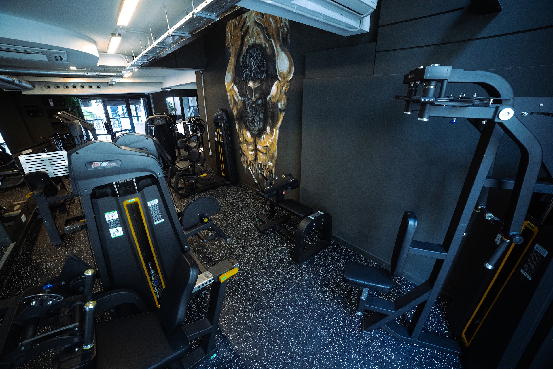 BodyFlex Gym