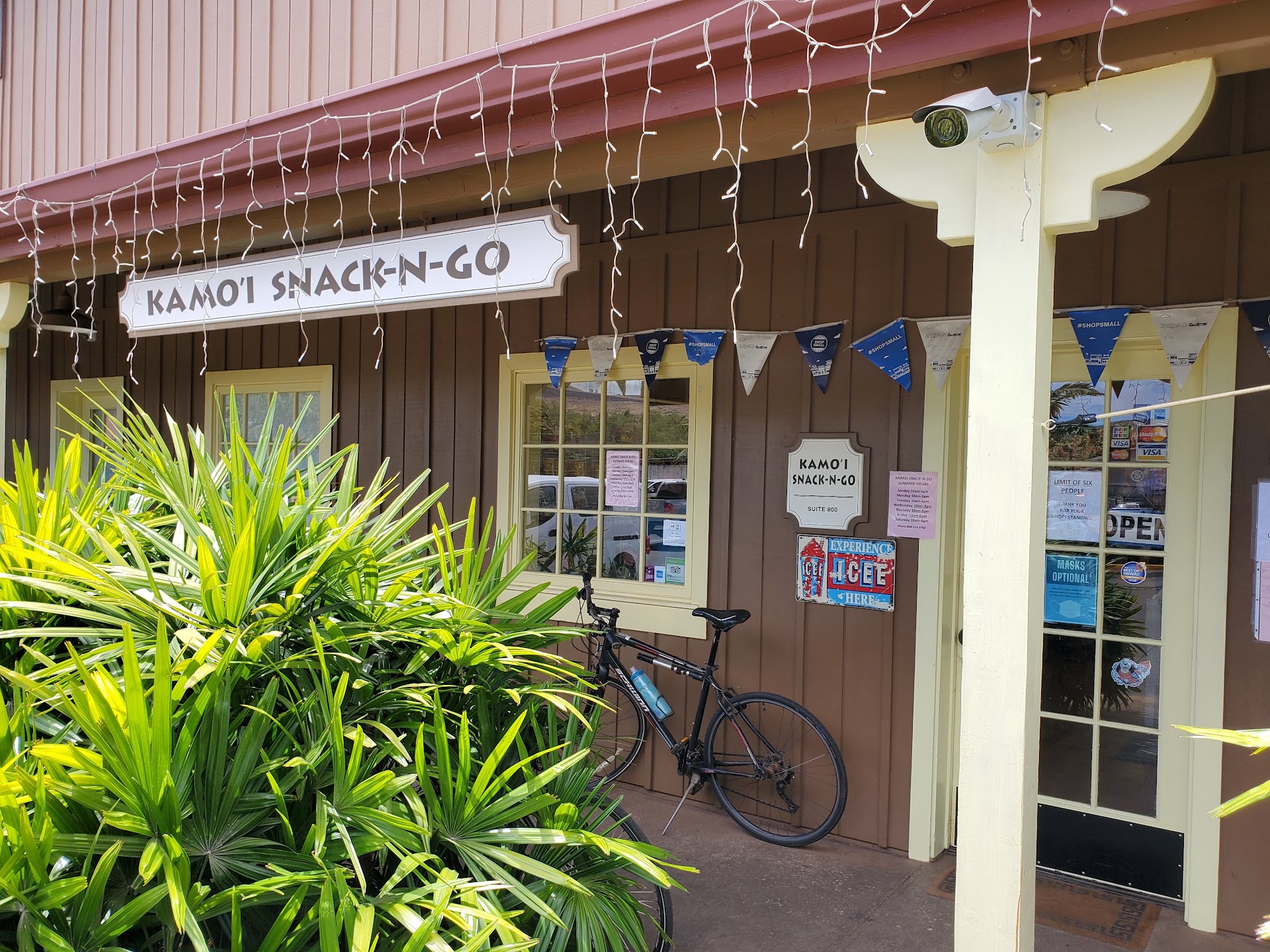 Kamoi Snack-n-Go, Inc.