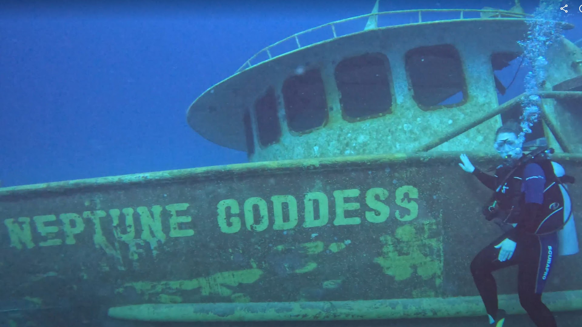 Seahorse Divers Barbados Inc