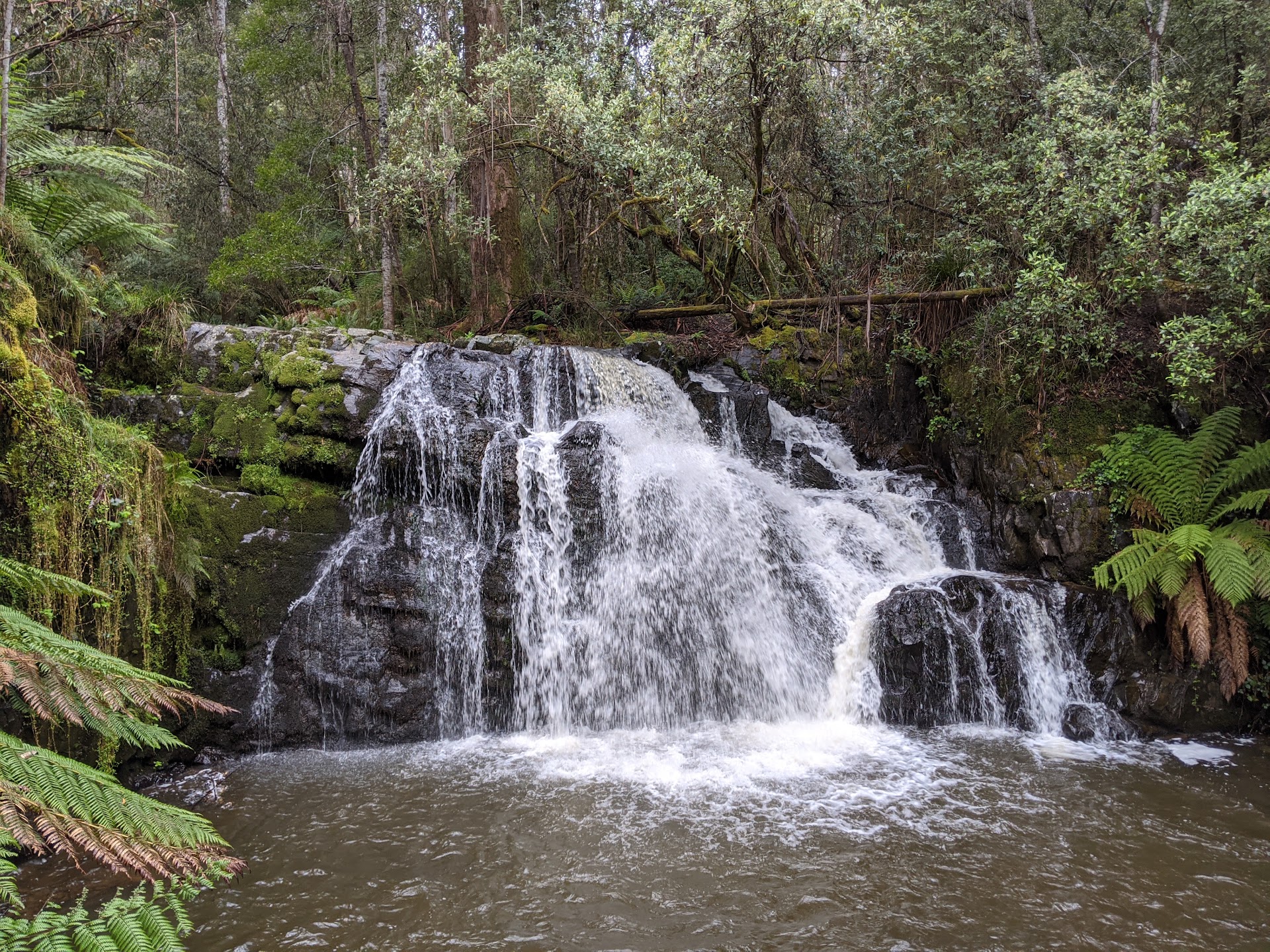 Lilydale Falls Camping Area