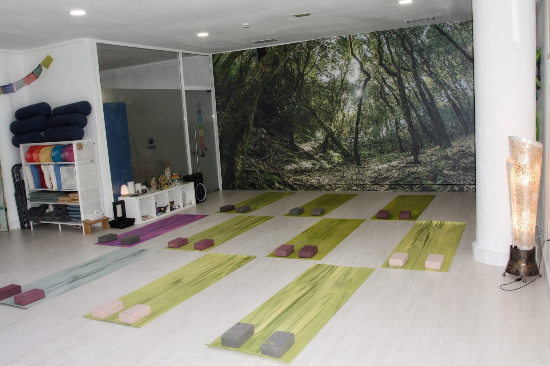 Escuela de Yoga Ling Natural YOGA - Centro de Bienestar y Yoga Adaptado