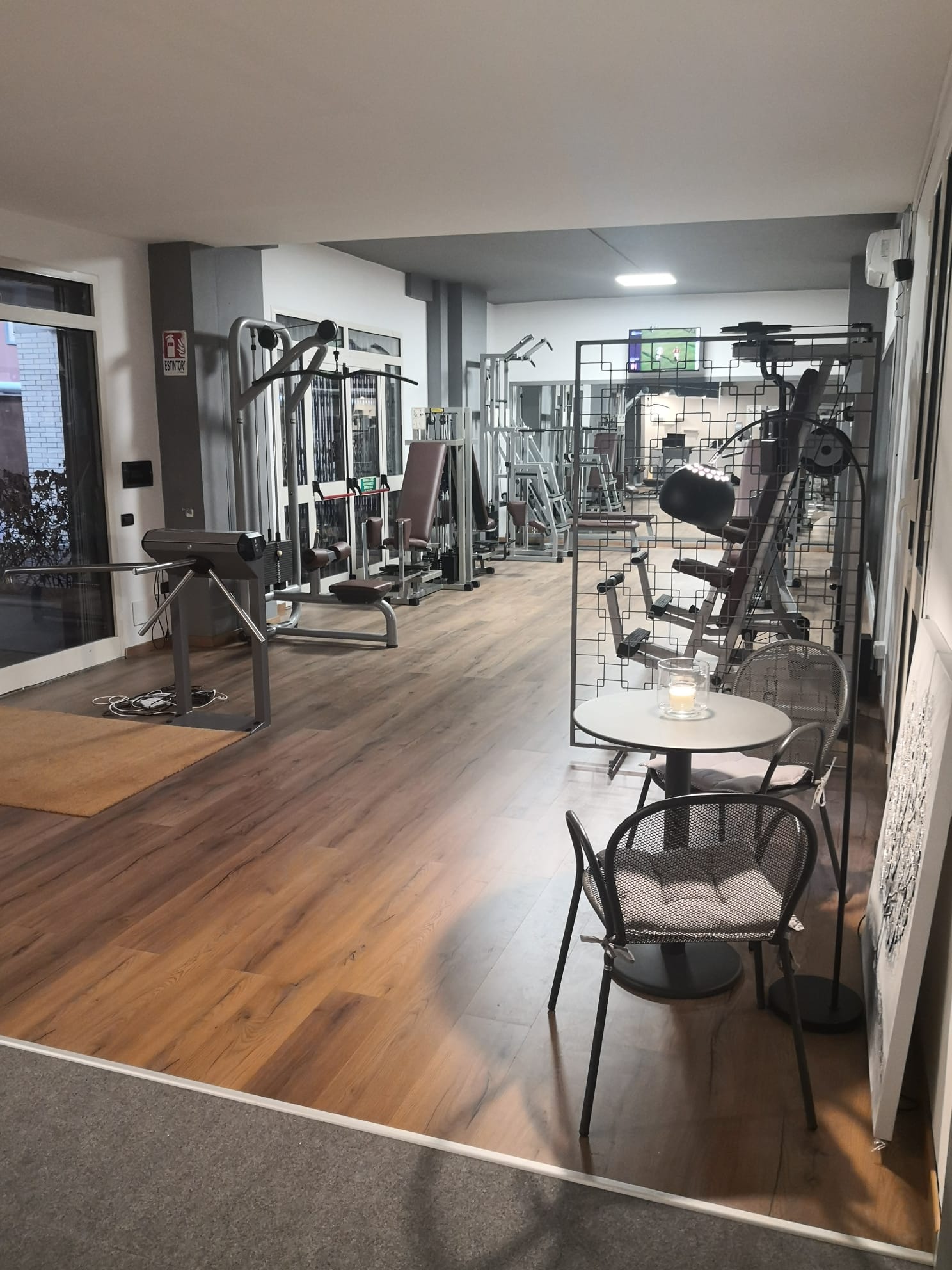 Gymnica university