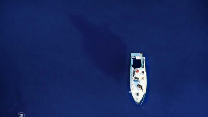 Sea Land Tours