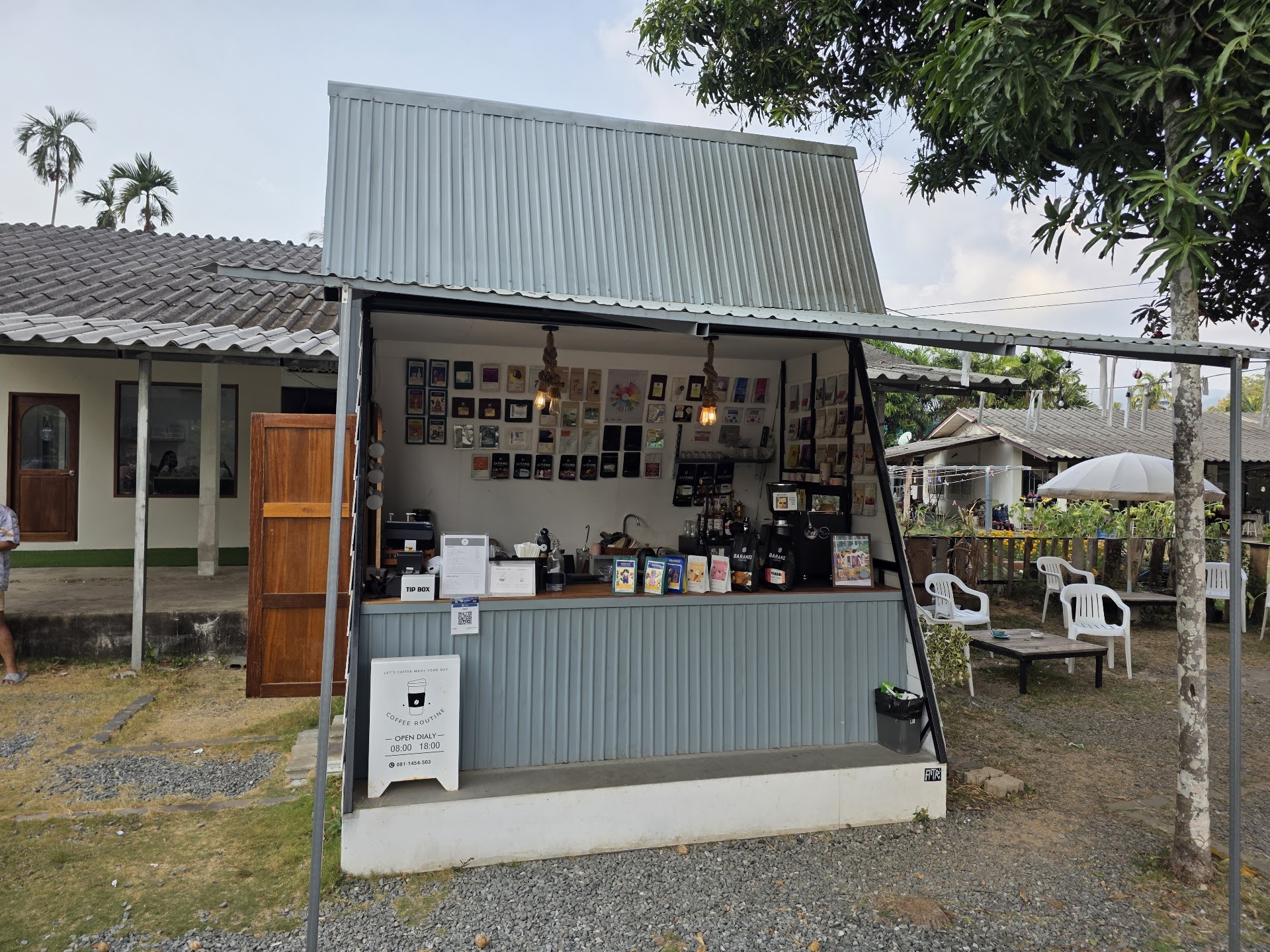 Coffee Tree