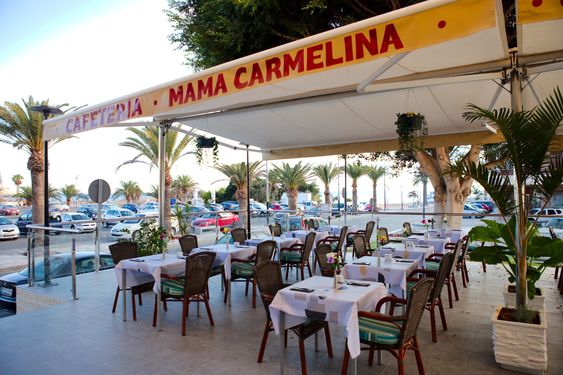 Mamá Carmelina