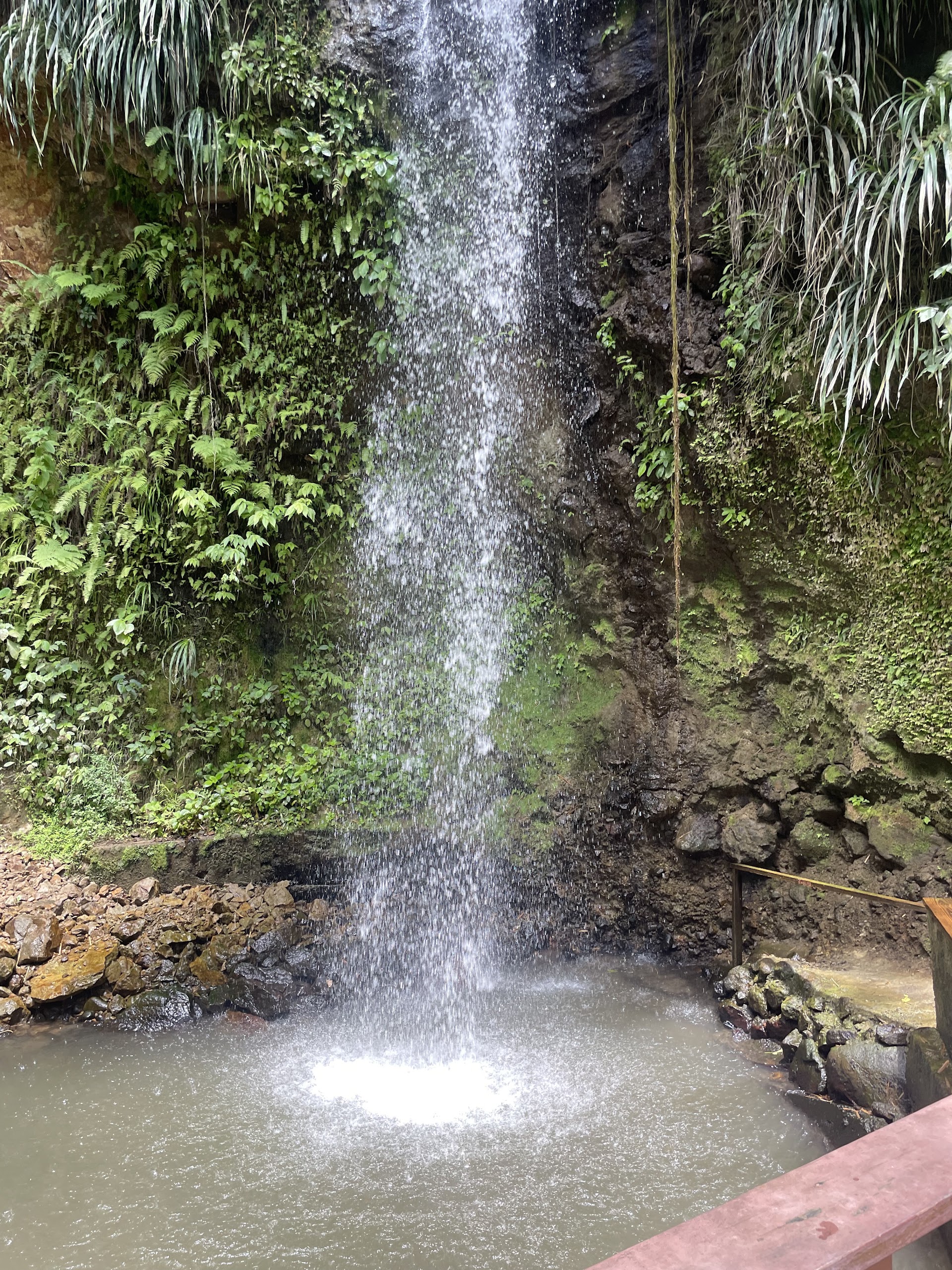 Saint Lucia best Tours. Harris Excursions.