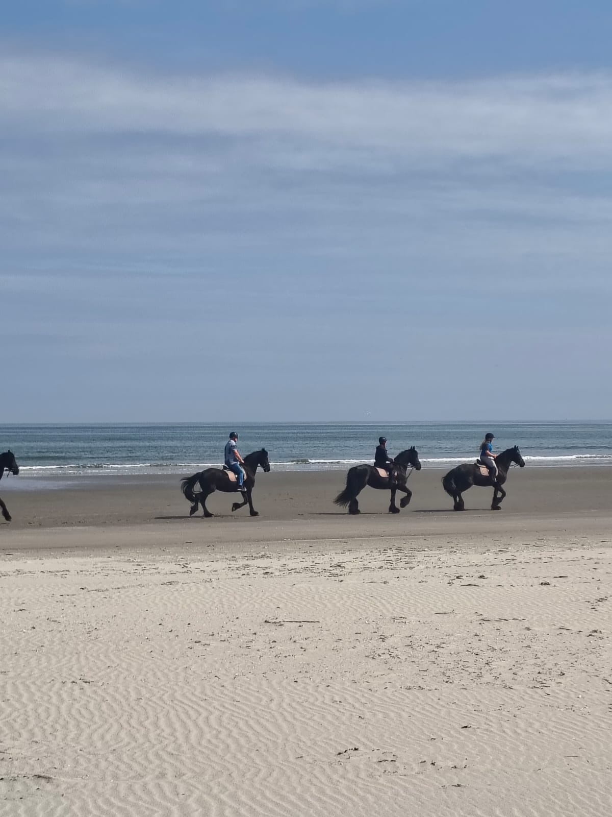 Manege "'t Jutterspad"