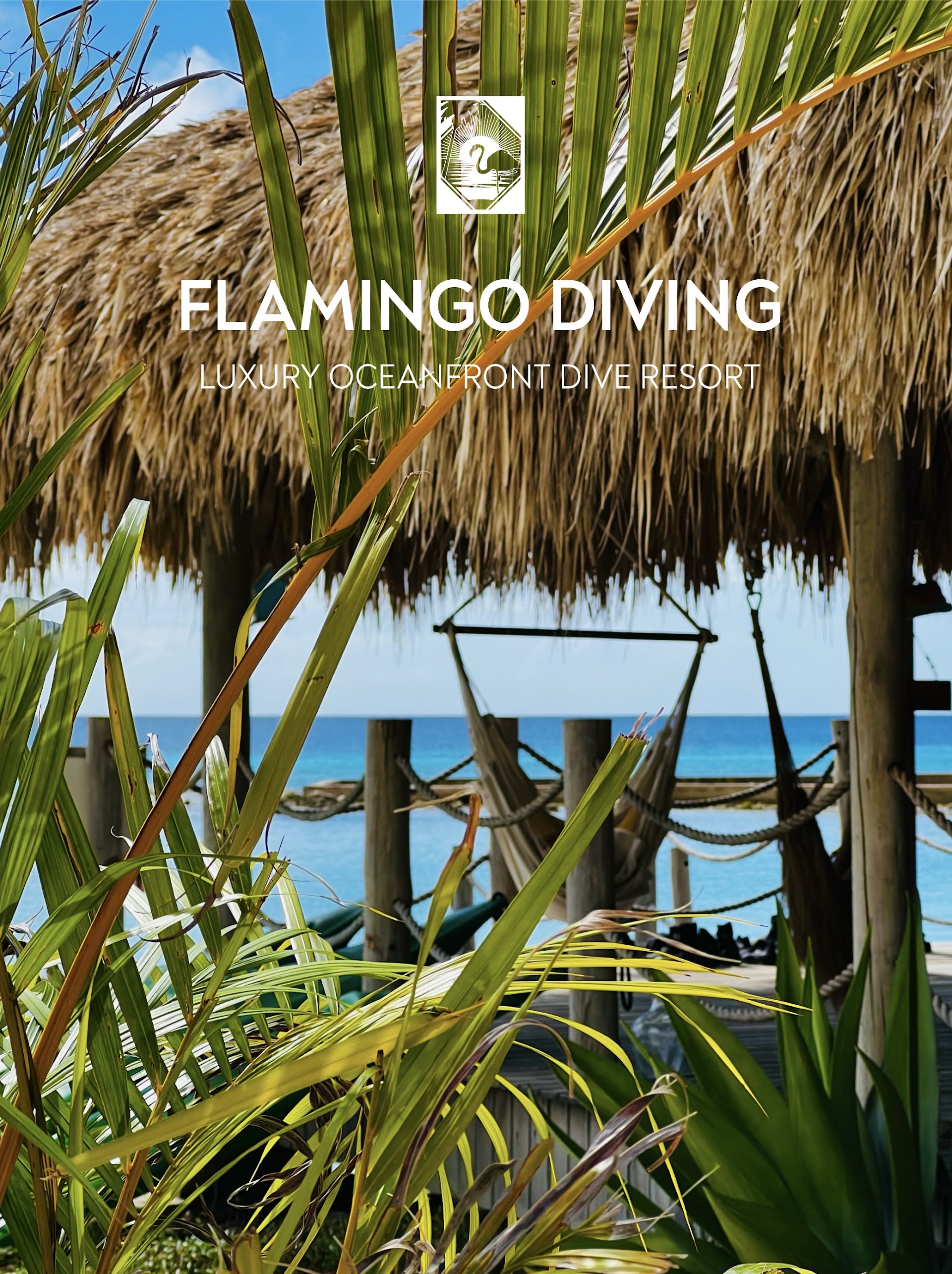Flamingo Diving