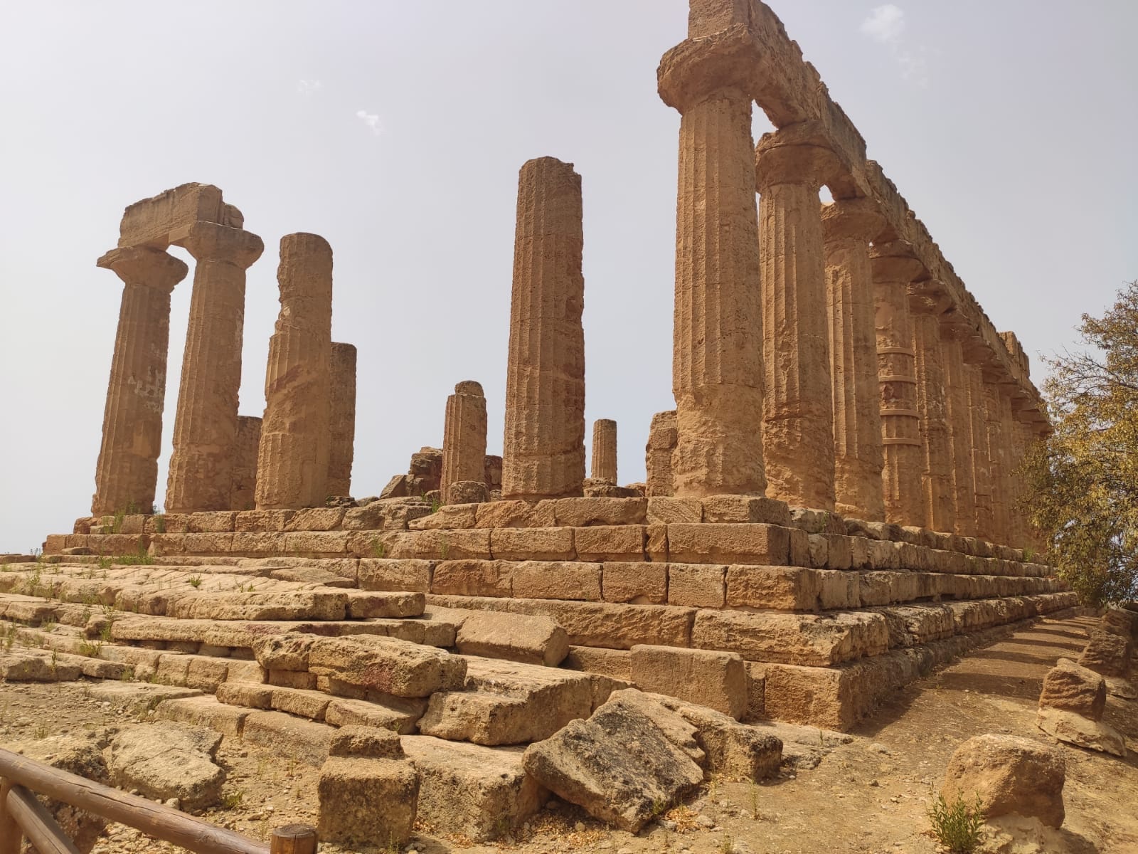 Prenotazione Visite guidate della Valle dei Templi Agrigento con Guide Turistiche abilitate