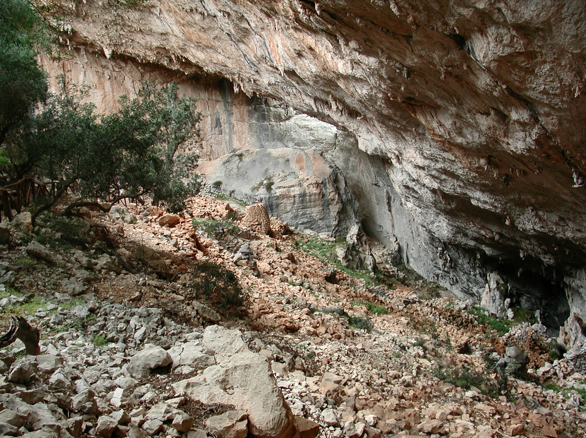 Tiscali