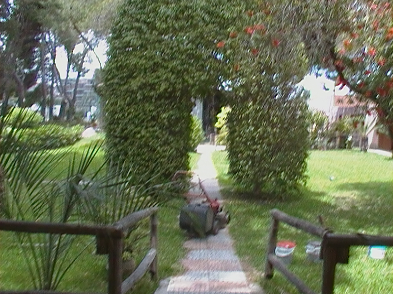 A.S.D.C. MOLENTARGIUS