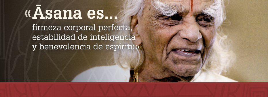 Asociación Española de Yoga Iyengar (AEYI)
