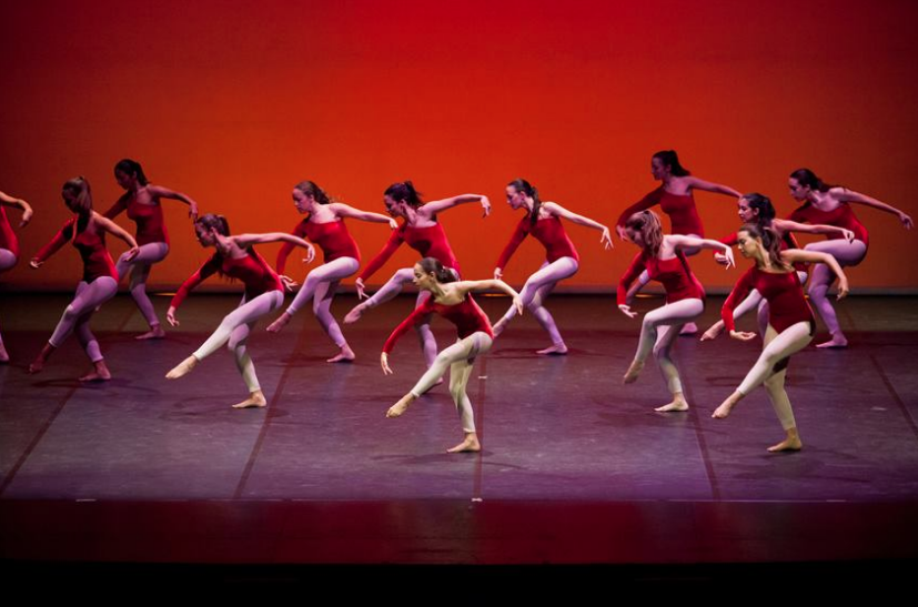 La Danse Studio SL