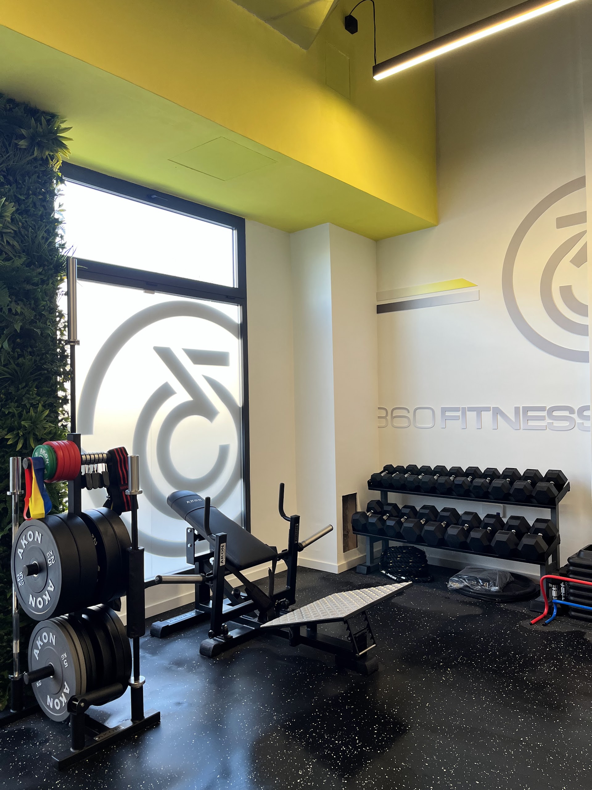 360 Fitness Studio Las Tablas | Gimnasio y Entrenamiento personal