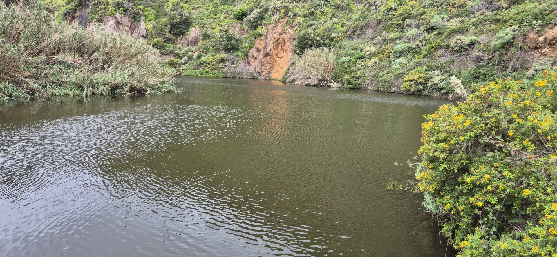 Presa de La Tagora