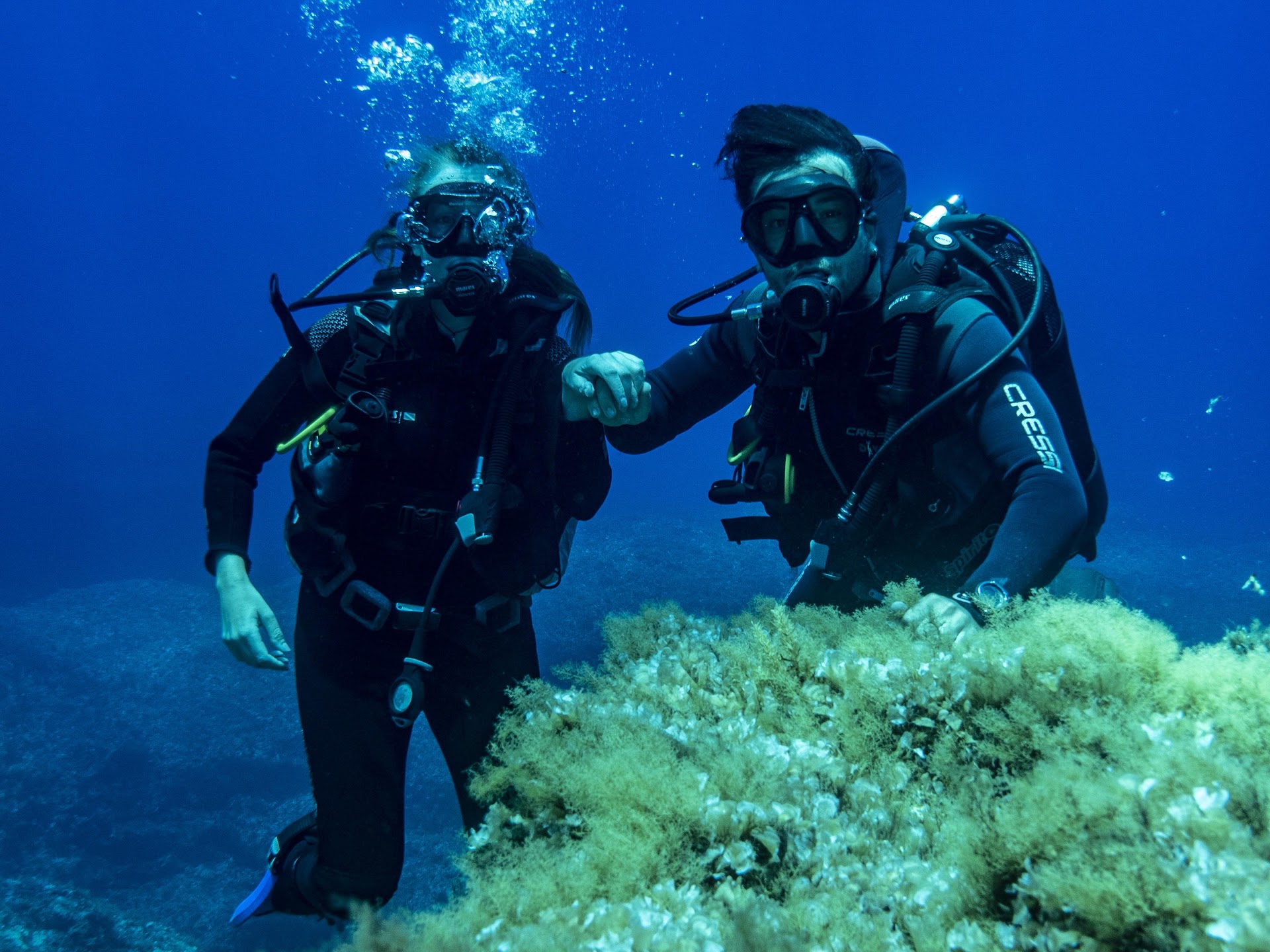 Terraferma diving