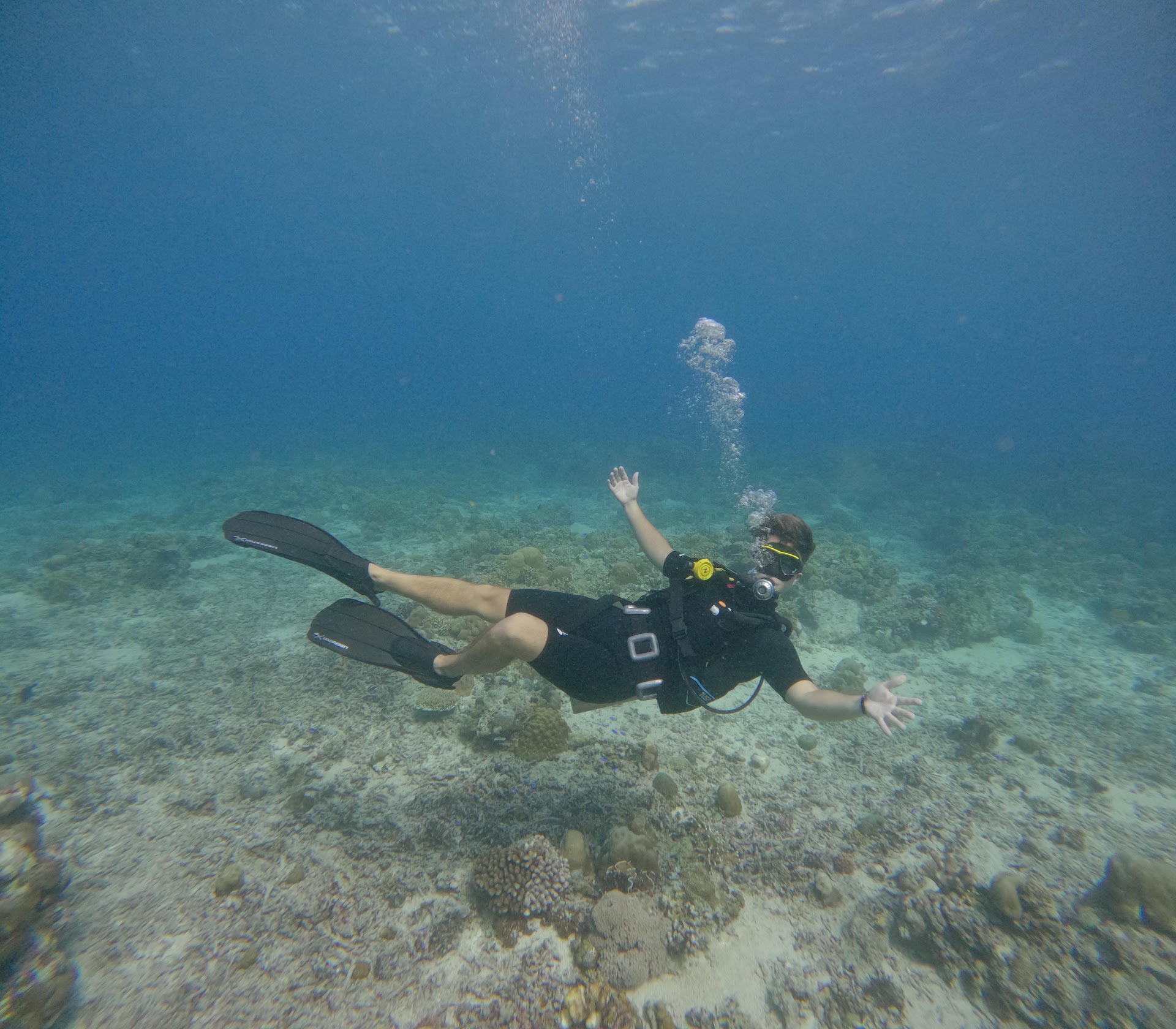 Viking Divers Gili Trawangan