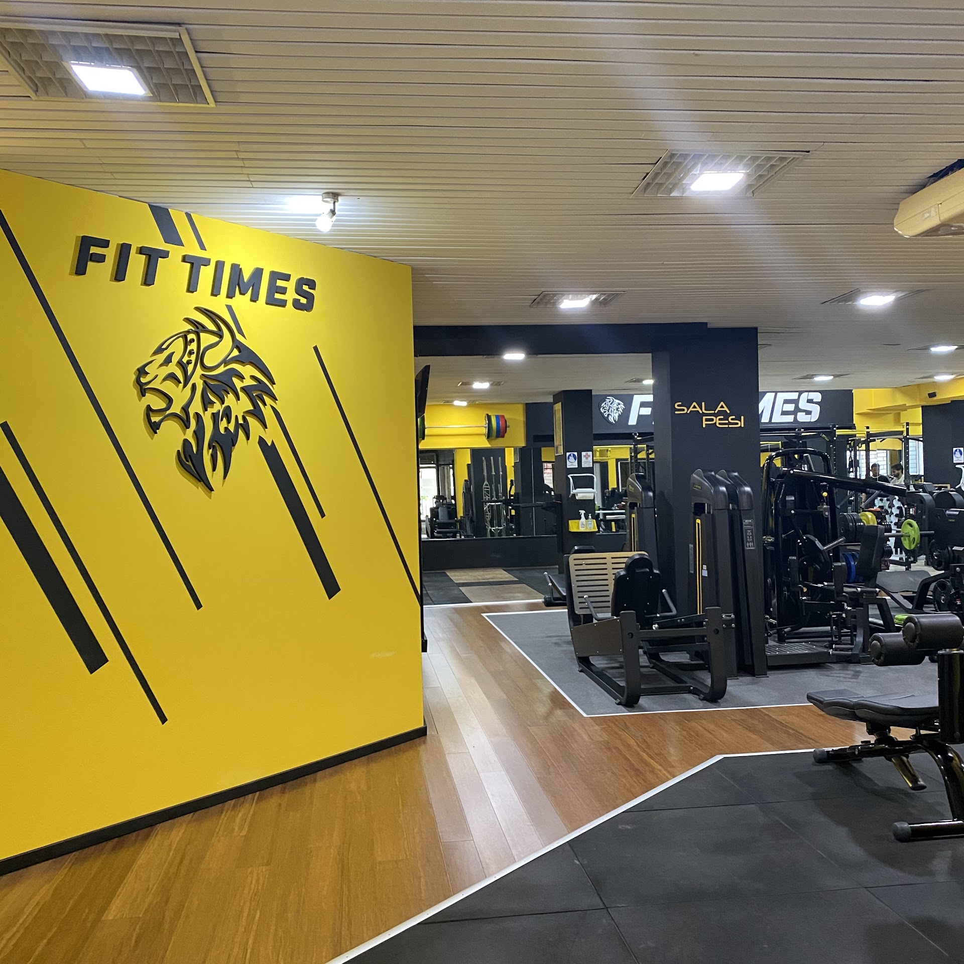 Palestra Fit Times
