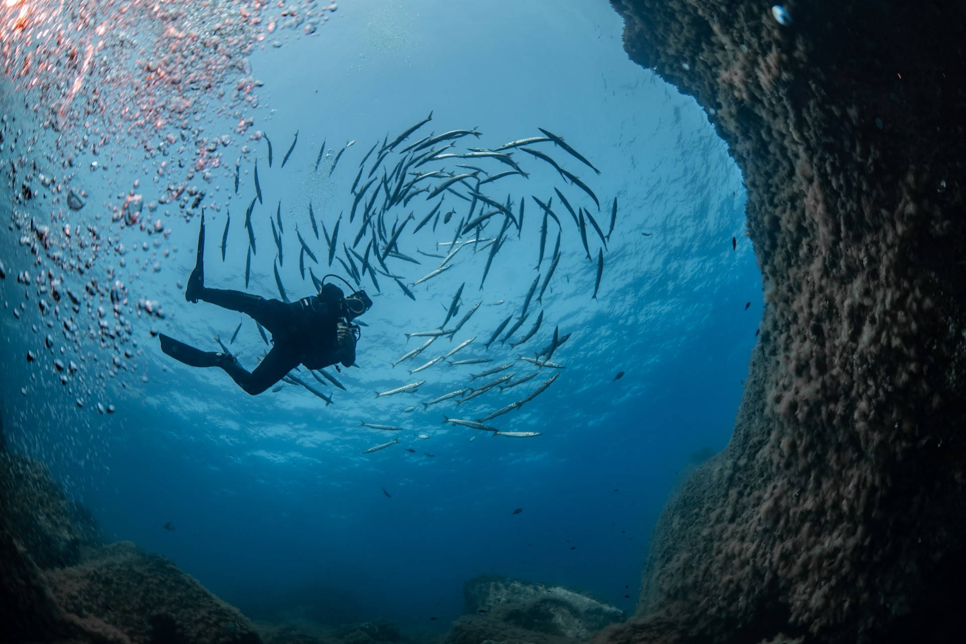 Progetto Sub Sardegna