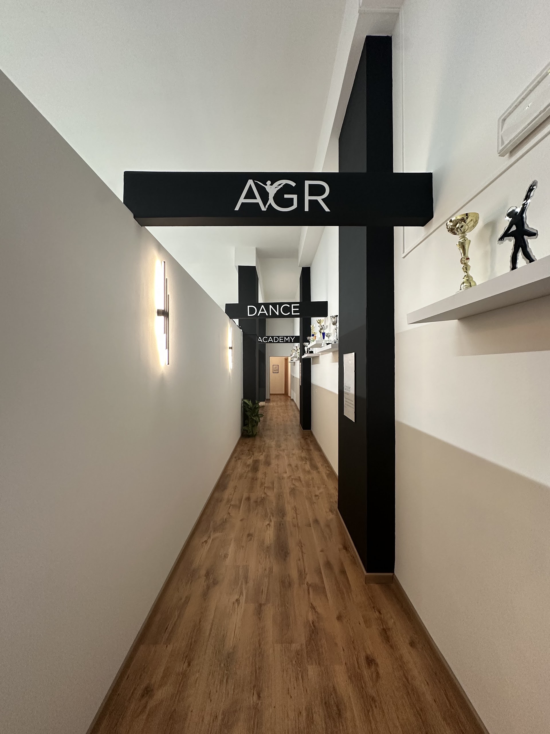 AGR, DANCE ACADEMY