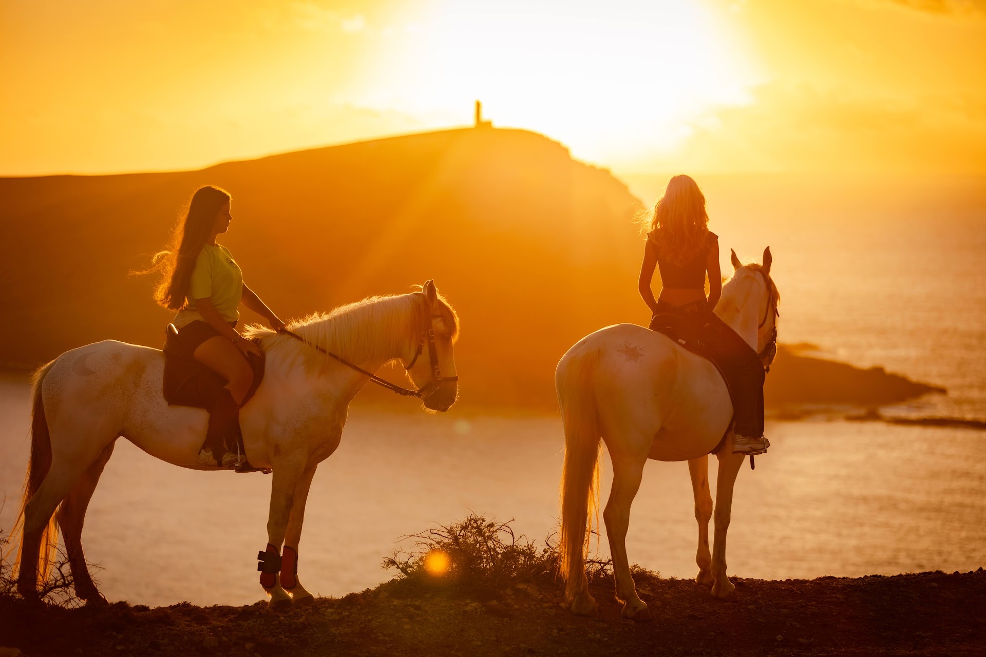 Passeios a Cavalo