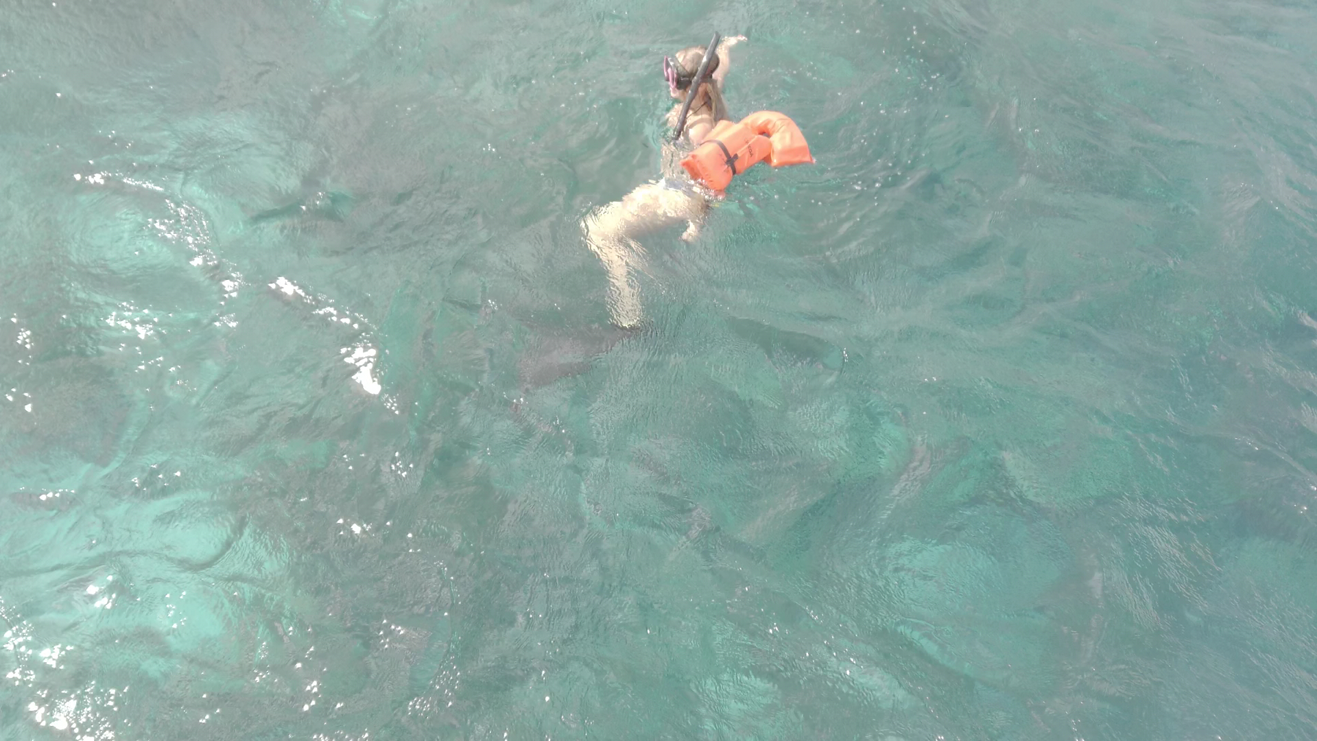 Watersports Bonaire - Lucky 7