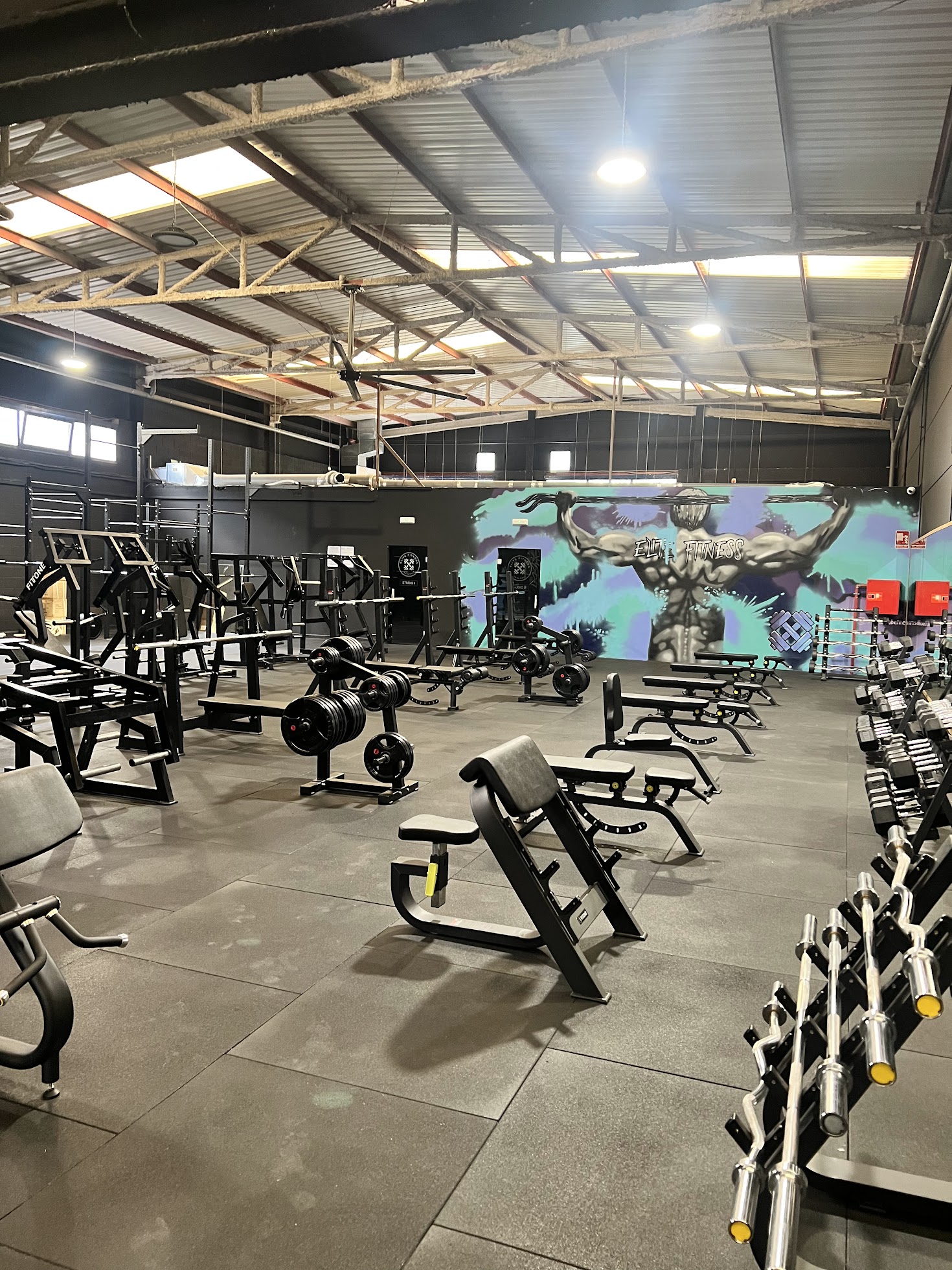 Elite Fitness