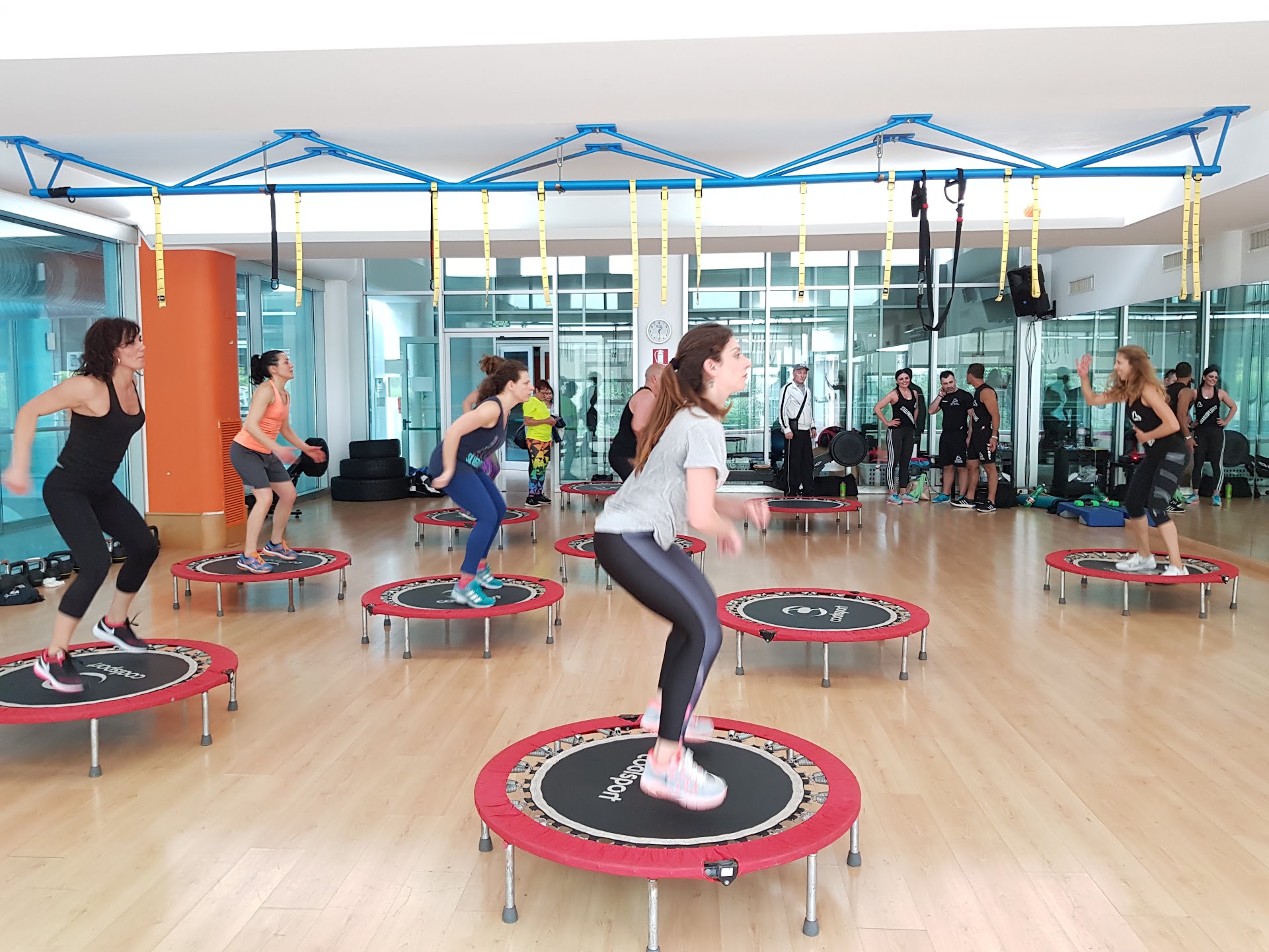 Wellness Academy Club
