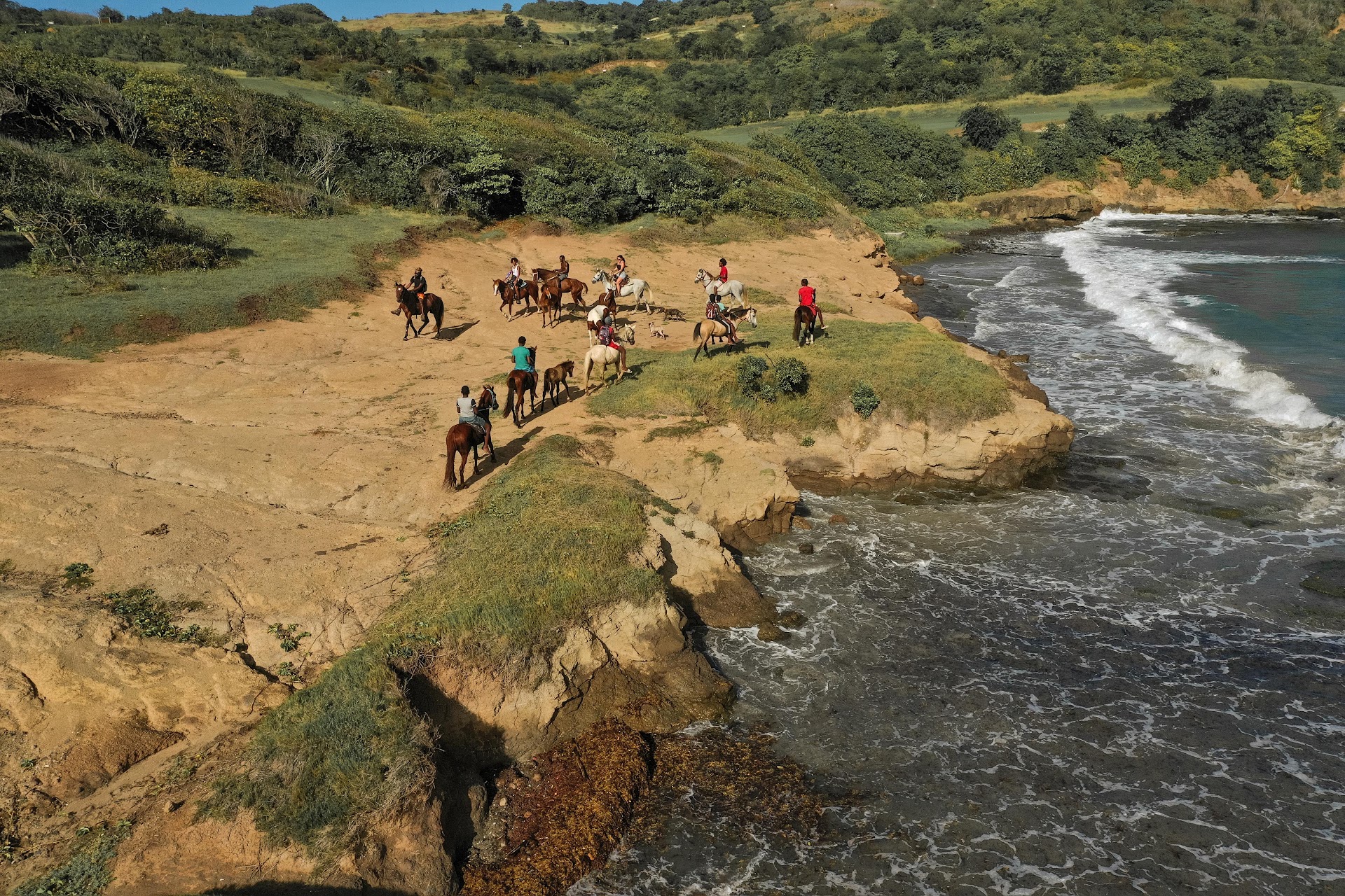 Roots Riding Stables