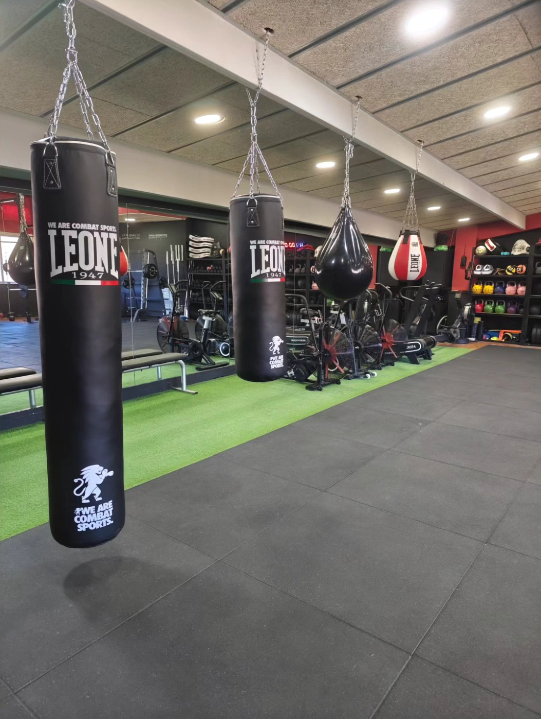 320FitnessLab