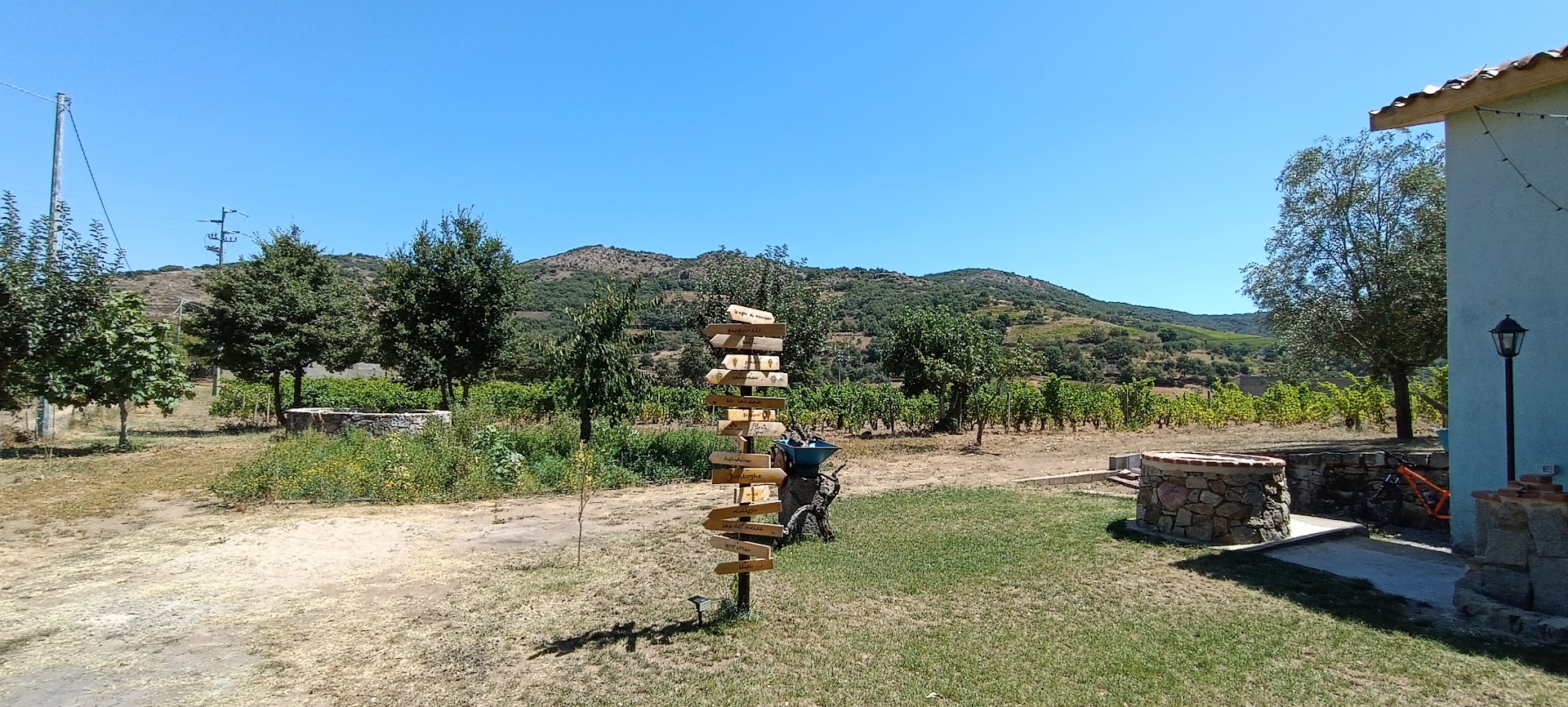 Vignaioli cadinu