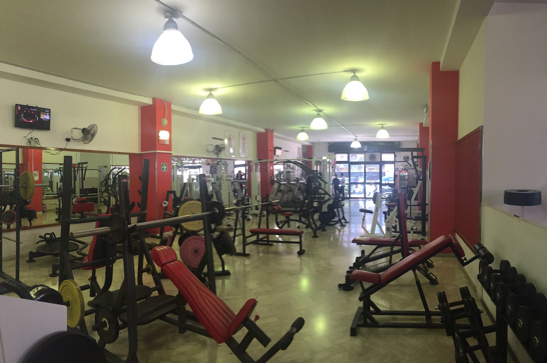 Ironfit Weightlifting Pesistica Olimpica