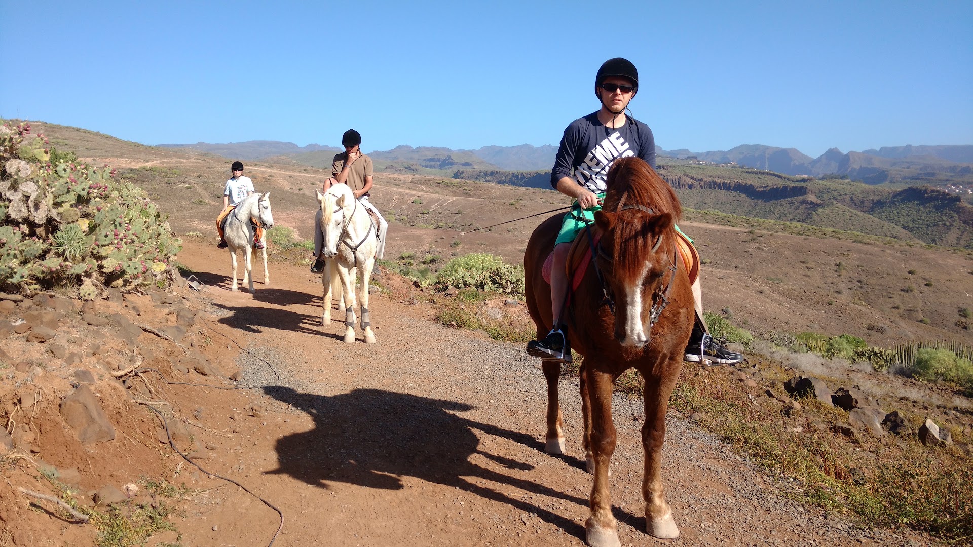 The Black Horse Canarias