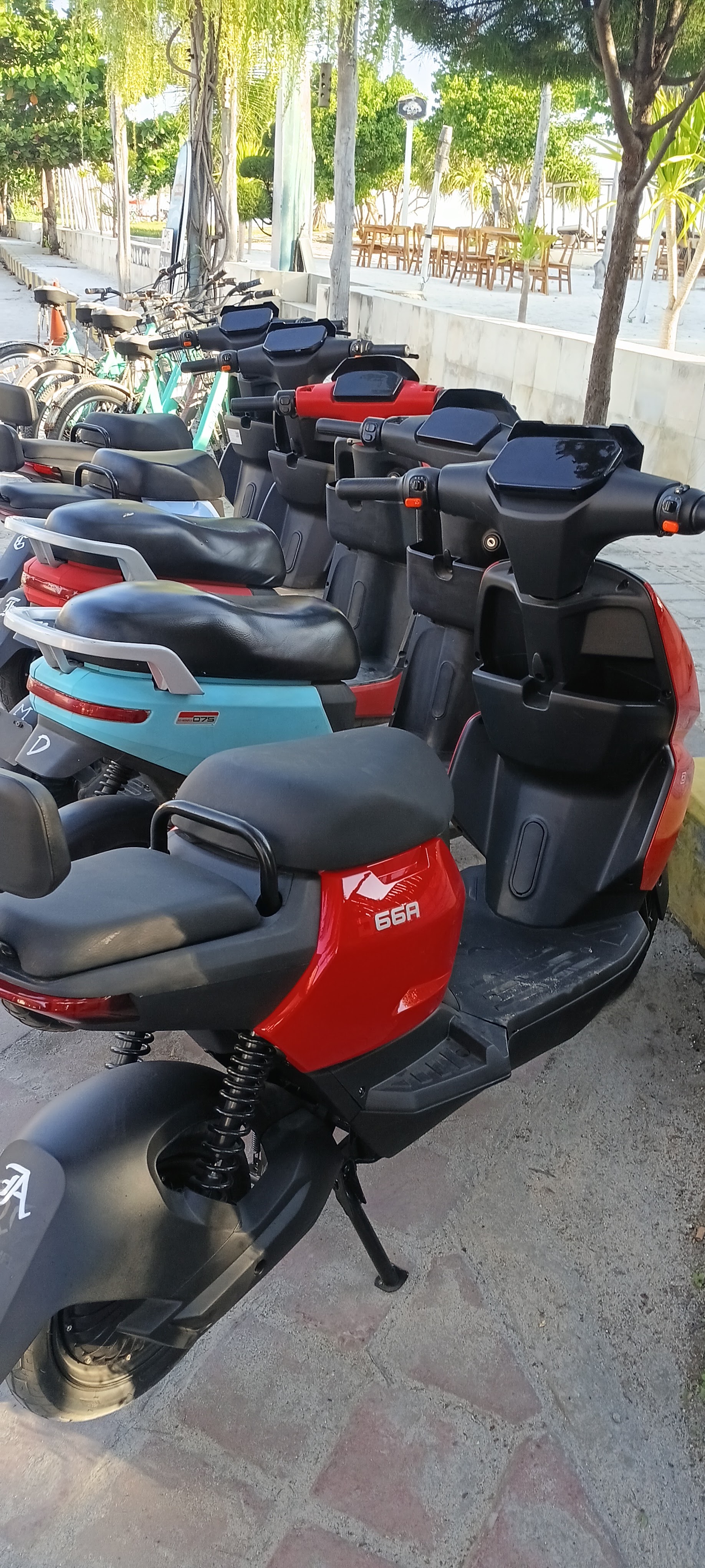 Ayra e bike & manual bike