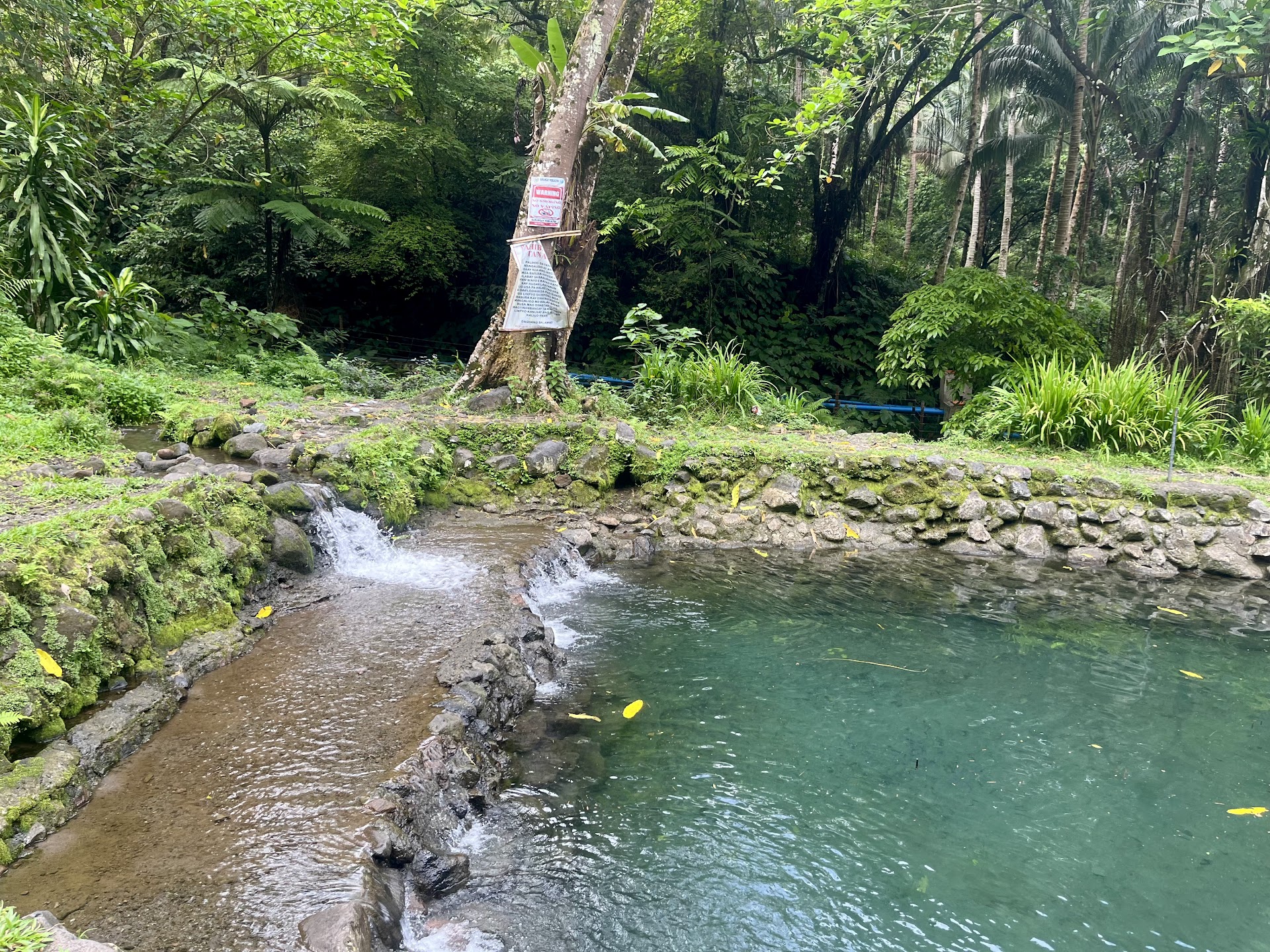 Sa-ay Cold Spring