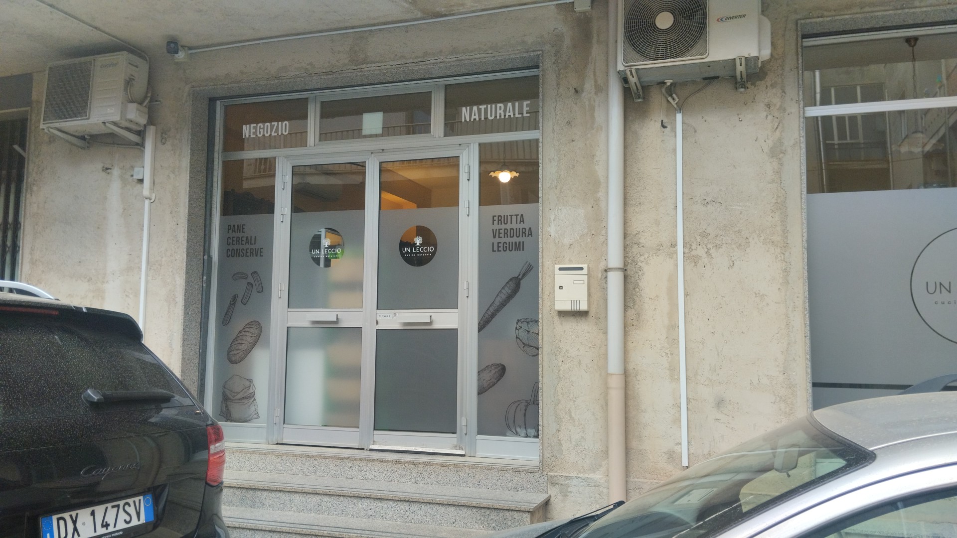 Un Leccio