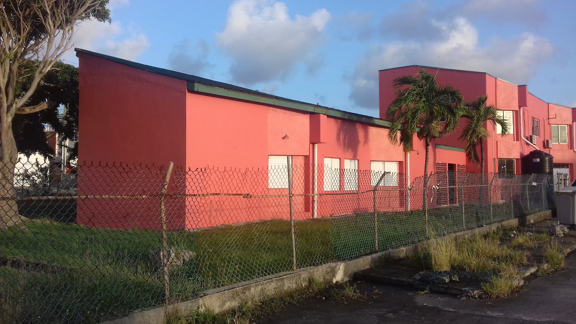 St. Lucia School Of Ballet & Modern Dance