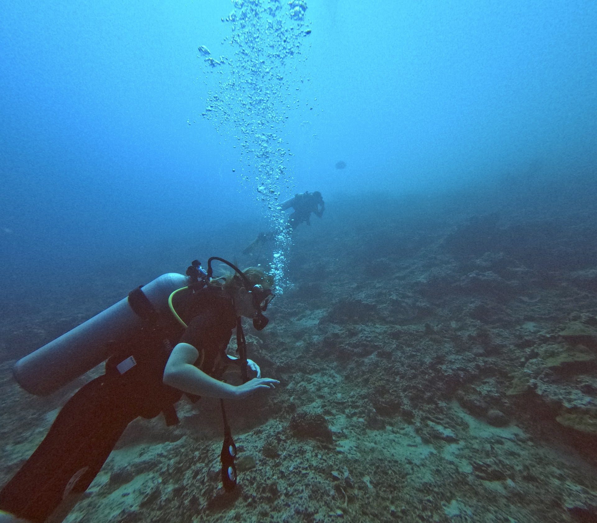 Meno Wall, Diving Spot